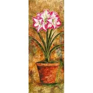  Rainbow Amaryllis Poster Print