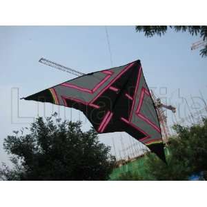  new air plane kite easy to flying very beautiful/delta 