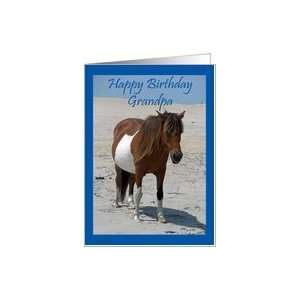  Birthday For Grandpa, Wild Horse on beach Card Health 