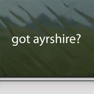 Got Ayrshire? White Sticker Beef Cattle Cow Breed Laptop Vinyl White 