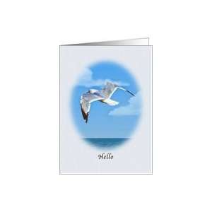  Hello/Hi, Ring billed Gull Bird Card Health & Personal 