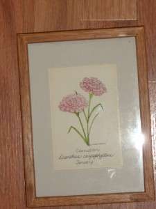 LINNEA WARDWELL FRAMED PRINT CARNATION FLOWER DESIGNS  