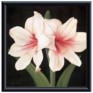   Lily I   Artist Gloria Eriksen  Poster Size 12 X 12