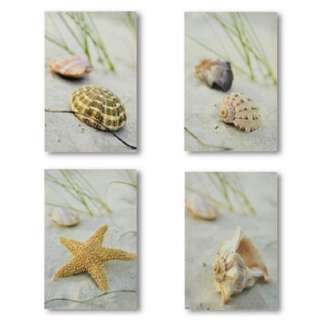Beach Seashells Conch Starfish WALL ART 4 Prints Decor  