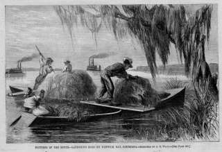 BERWICK BAY LOUISIANA 1866, GATHERING MOSS, BOATS SHIPS  