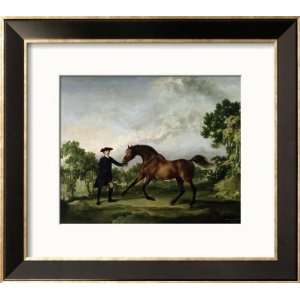  The Duke of Ancasters Bay Stallion Blank, Held by a 