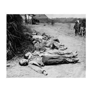  Spotsylvania, VA, Dead Confederate Soldiers, Civil War 