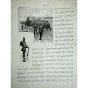  1886 Australia War Army Review Frankston Weapons