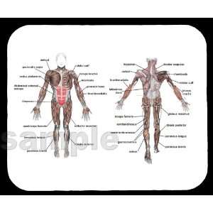  Muscles of the Human Body Mouse Pad 