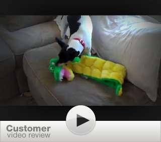  Kyjen Plush Puppies Squeaker Mat Long Body Gator Dog Toy 