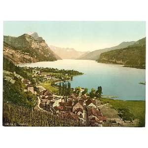   Wallenstadt Lake,Weesen,Aliver,St. Gallen,Switzerland