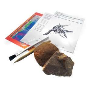 American Educational SR 3775 Vertebrate Fossil Dig Set  