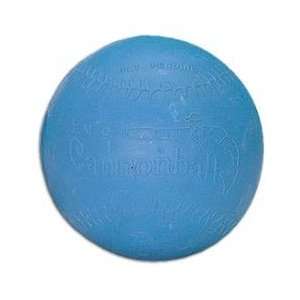  Cannonball Weight Training Ball