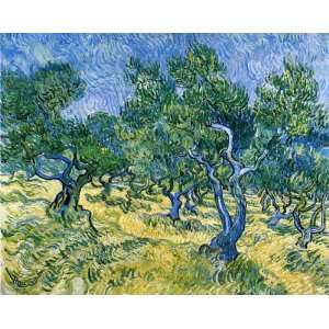  Olive Grove II