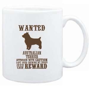   Terrier   $1000 Cash Reward  Dogs 