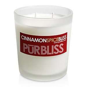 Cinnamon Spice Bliss Soy Candle   Medium Jar