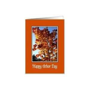 Arbor Day   Autumn Leaves Card