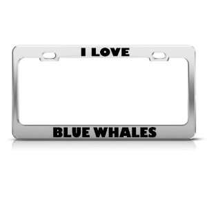 Love Blue Whales Whale Animal license plate frame Stainless Metal 
