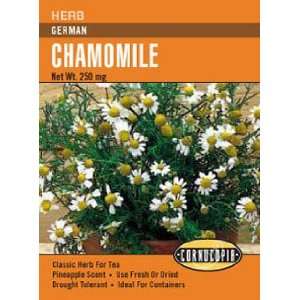  Chamomile German Seeds Patio, Lawn & Garden