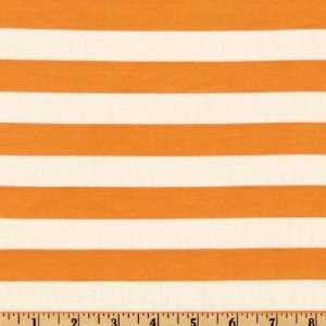  58 Wide Stretch Jersey ITY Knit Stripes Sherbert Fabric 