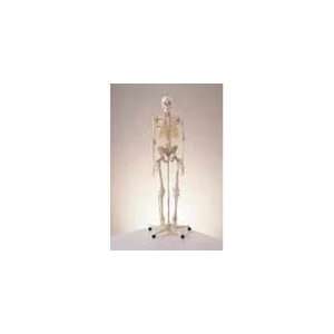 3B® Flexible Skeleton  Industrial & Scientific