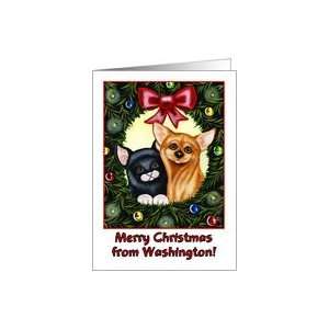  Merry Christmas from Washington, kitty cat and Chihuahua 