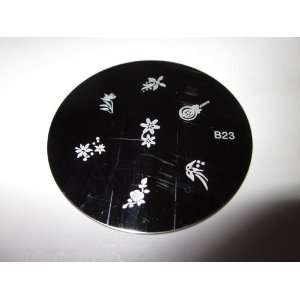  Stamping Nail Art Image Plate   B23 Beauty