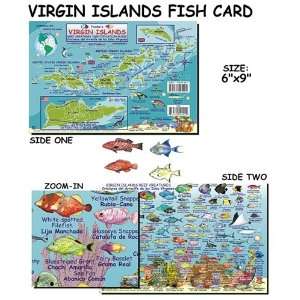  Virgin Islands Fish ID