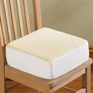 Rise with Ease Cushion