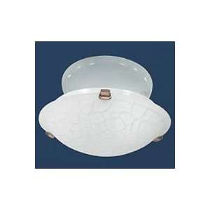 com Renoma Lighting 17,, Halogen Light Semi Flush w/ 800 Scavo Glass 