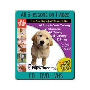  Puppy Smarts all 5 Lessons in 1 on DVD 