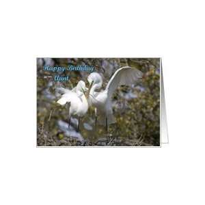 Aunt birthday, Great Egrets nest building Card Health 