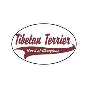  Tibetan Terrier Shirts