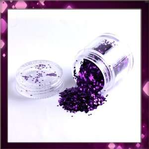   Nail Art Sparkling Glitter Powder Dust Tips Salon Set B0391 Beauty