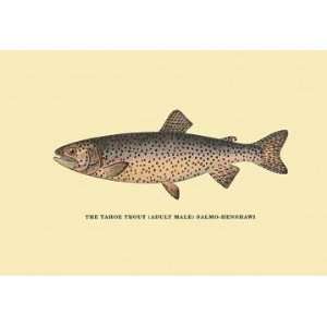   Exclusive By Buyenlarge The Tahoe Trout 20x30 poster
