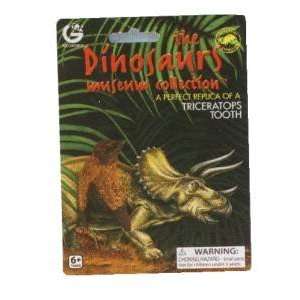  Triceratops Tooth Replica Toys & Games
