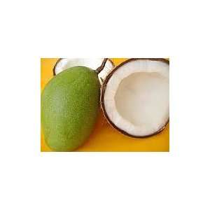  Fragrance Oil Coconut Mango (1/2oz) 