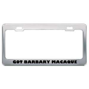 Got Barbary Macaque Ape? Animals Pets Metal License Plate Frame Holder 