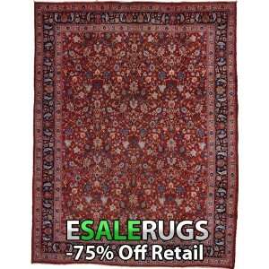    10 7 x 13 8 Birjand Hand Knotted Persian rug