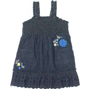   The Childrens Place Girls Embroidered Denim Dress Sizes 6m   4t Baby