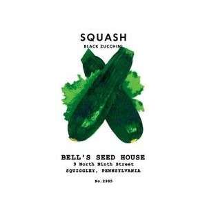  Squash Black Zucchini 12x18 Giclee on canvas