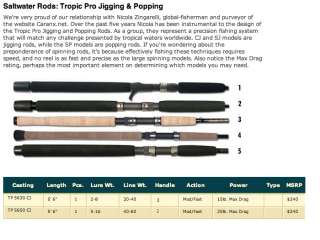 Lamiglas TP5650CJ Tropic Pro Jigging & Popping Rod  