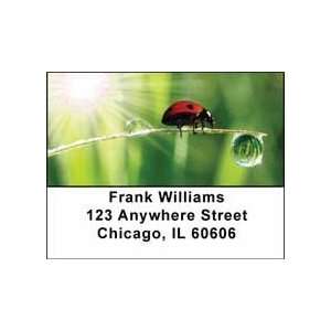  Ladybugs Address Labels