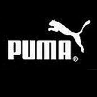 PUMA Mens Cell Pavo NM Running Shoe  