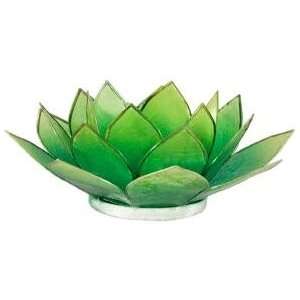  Natural Shell Tea Light Holder Small Lotus   Lime/Green 