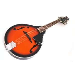   Style Acoustic Mandolin w/ FREE CD & Tuning Chart Musical Instruments