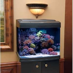  Coralife BioCube 29 gallon