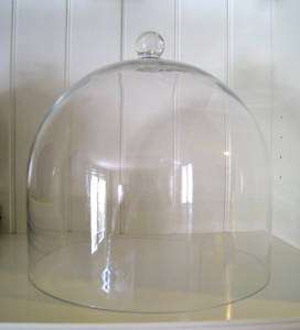 Glass Dome Bell Jar Display Garden Terrarium Restaurant Pastry Cake 