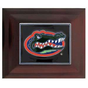  Large College Collectors Box   Florida Gators