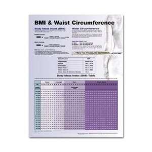 BMI & Waist Circumference Anatomical Chart  Industrial 